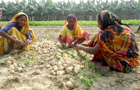 Agro-Enterprise & Farming